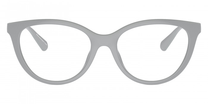 EMPORIO ARMANI™ EA4213U 51971W 53 - Shiny Gray/Shiny Silver