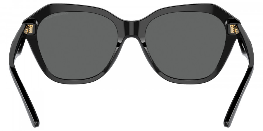 Emporio Armani™ - EA4221F