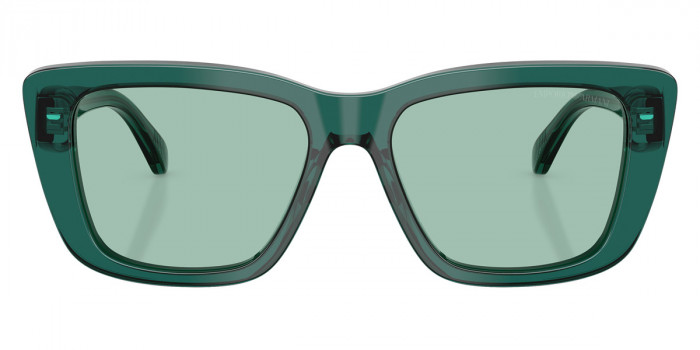 EMPORIO ARMANI™ EA4246U 6252/2 54 - Shiny Transparent Green
