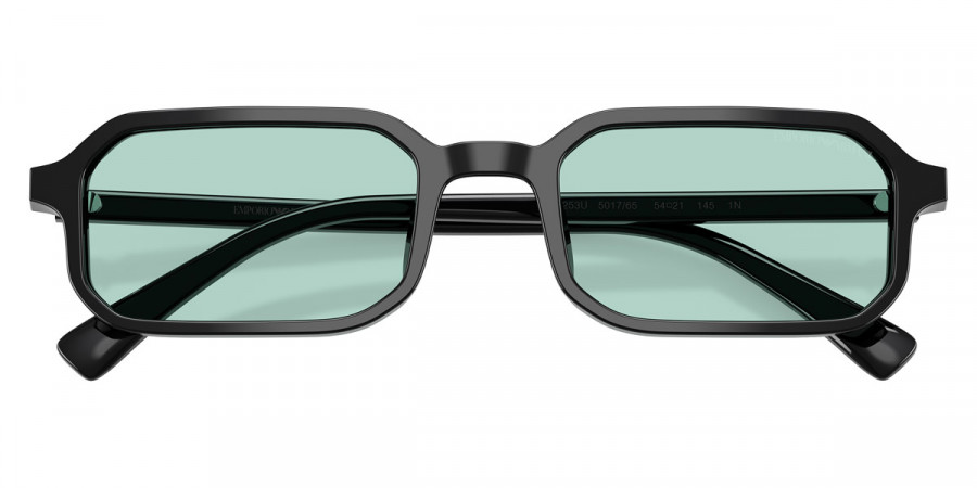 Emporio Armani™ - EA4253U