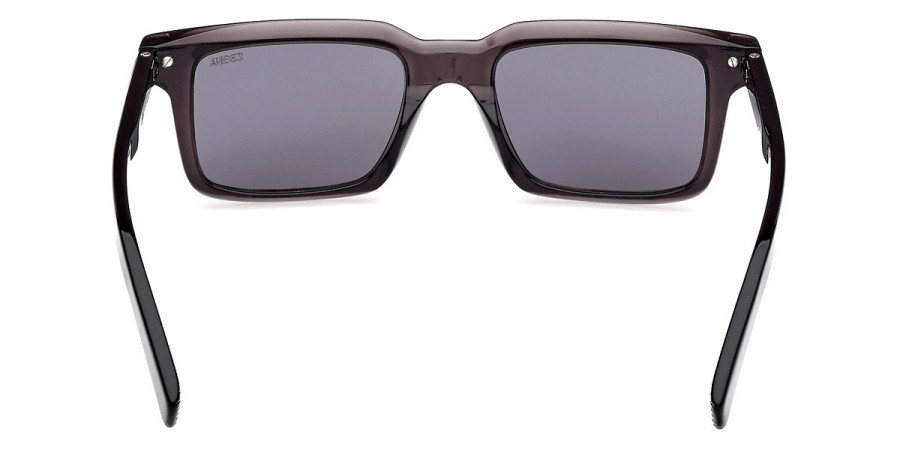 Color: Shiny Gray (20D) - Ermenegildo Zegna EZ024920D53