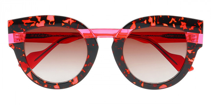 Face a Face™ BLANK 1 0107 50 - Cassis Tortoise