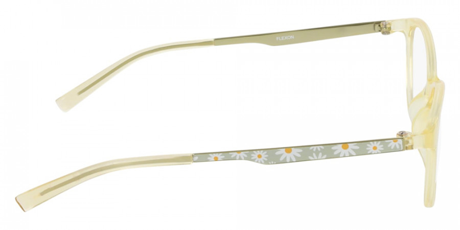 Flexon™ - FLJ4025