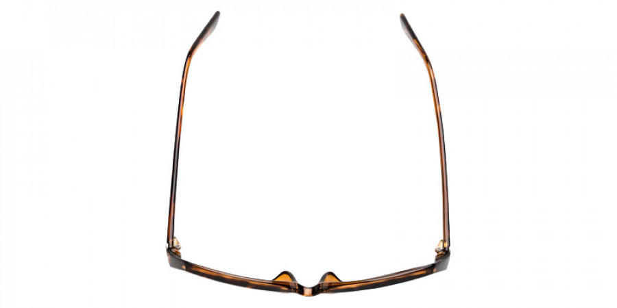 Foster Grant™ x Sofia Vergara® - Alejandra SunReaders®