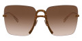Havana Brown / Brown Gradient