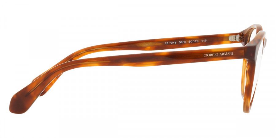 Color: Red Havana (5988) - Giorgio Armani AR7216598850