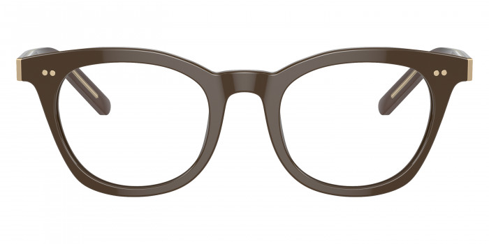 GIORGIO ARMANI™ AR7251 6040 48 - Brown/Crystal