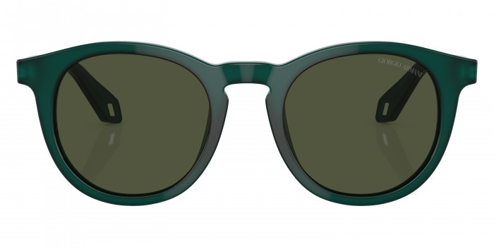 GIORGIO ARMANI™ AR8192F 604431 50 - Opale Green