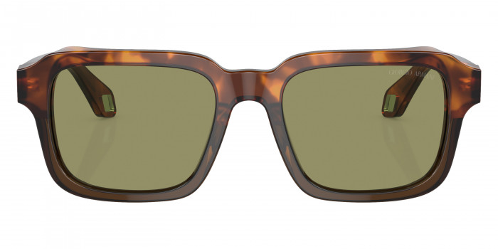 GIORGIO ARMANI™ AR8194U 598814 53 - Havana Red/Opaline Olive Green