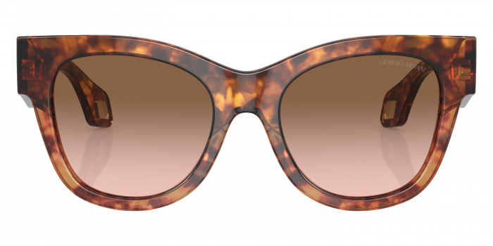 GIORGIO ARMANI™ AR8195U 603351 51 - Red Havana/Orange Havana