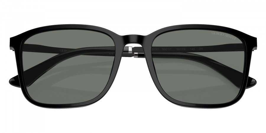 Giorgio Armani™ - AR8197