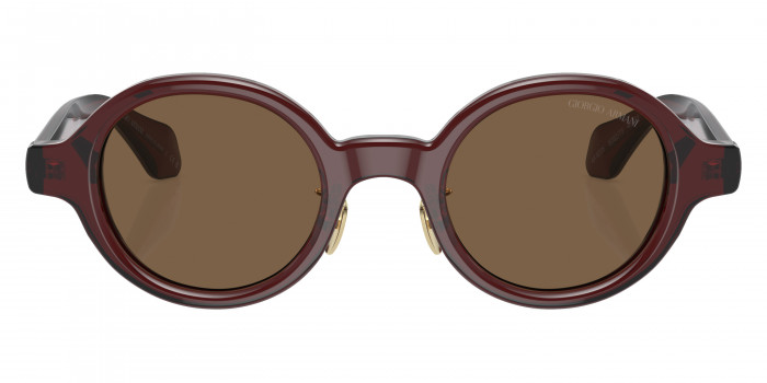 GIORGIO ARMANI™ AR8205 606273 46 - Transparent Brown