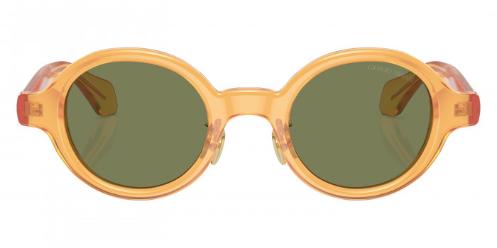 GIORGIO ARMANI™ AR8205 60632A 46 - Transparent Honey