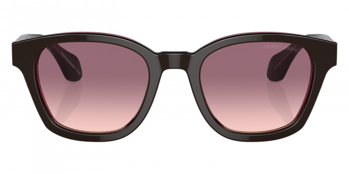 GIORGIO ARMANI™ AR8207 60888D 50 - Top Brown/Transparent Pink