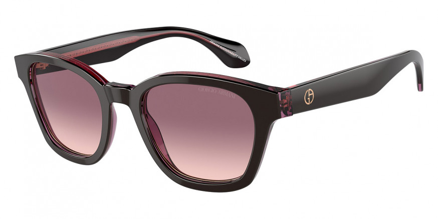 Giorgio Armani™ AR8207 60888D 50 - Top Brown/Transparent Pink
