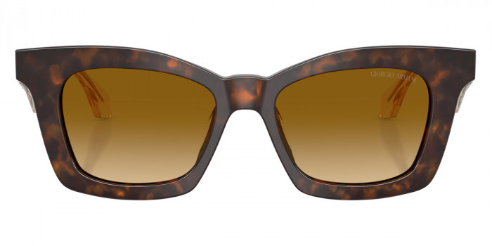 GIORGIO ARMANI™ AR8235U 62312L 50 - Havana/Top Havana/Transparent Honey