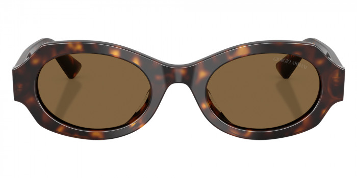 GIORGIO ARMANI™ AR8245HU 587973 49 - Havana