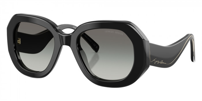 GIORGIO ARMANI™ - AR8248