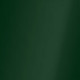 Forest Green Transparent