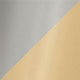 Silver/Gold Shiny
