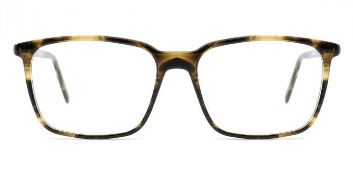 Götti™ SALAZAR BSB 55 - Havana