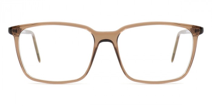 Götti™ SALAZAR DTB 55 - Transparent Dark Brown