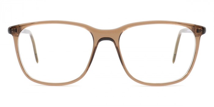 Götti™ SAMSON DTB 53 - Transparent Dark Brown