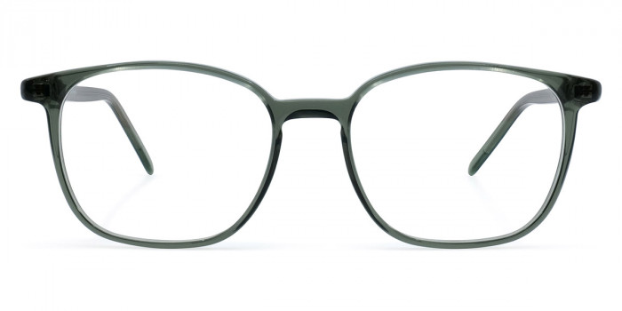 Götti™ Sery DTM 49 - Transparent Dark Green