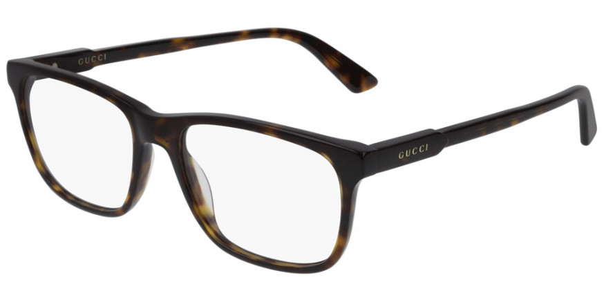 Color: Havana (002) - Gucci GG0490O00253