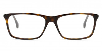 Color: Havana (006) - Gucci GG0553O00656