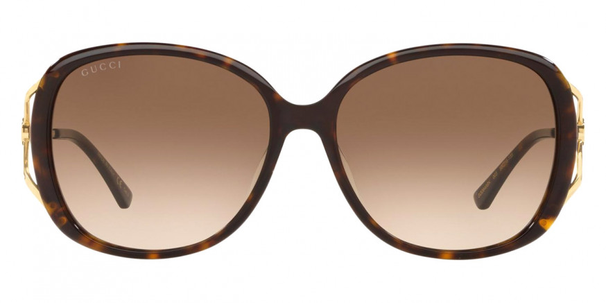 Color: Gold/Havana (003) - Gucci GG0649SK00358