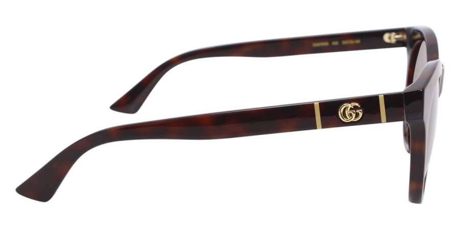 Color: Havana (002) - Gucci GG0763S00253