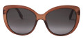 Brown / Brown Gradient