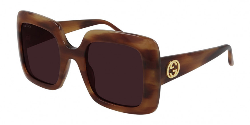 Color: Havana (004) - Gucci GG0896S00452