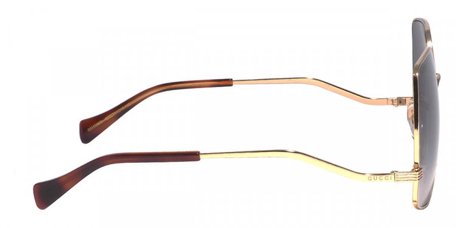 Gucci™ - GG1005S