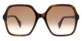 Havana / Brown Gradient 002