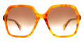 Havana / Brown Gradient 003