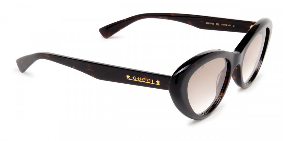 Color: Havana (002) - Gucci GG1170S00254