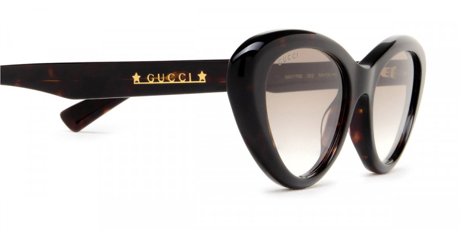 Color: Havana (002) - Gucci GG1170S00254
