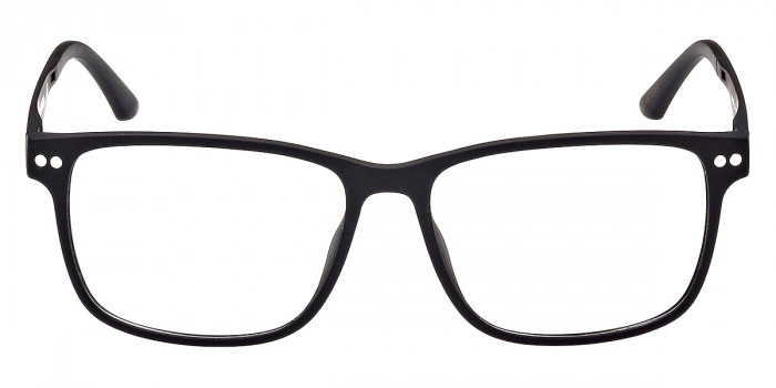 Harley Davidson™ - HD0950