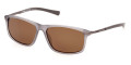 Gray/Other / Brown Polarized