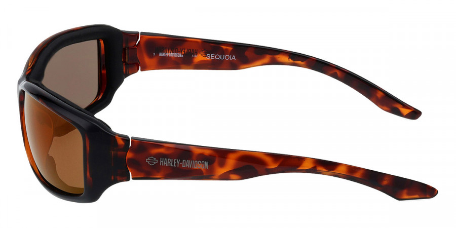 Color: Dark Havana (52G) - Harley Davidson HZ002752G60