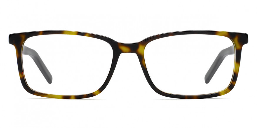 Hugo Boss HG 1029 0AB8 54 Havana Gray Eyeglasses