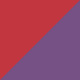 Spotlight Burgundy/Purple