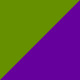 Brushed Green/Purple