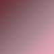 Pink Orchid