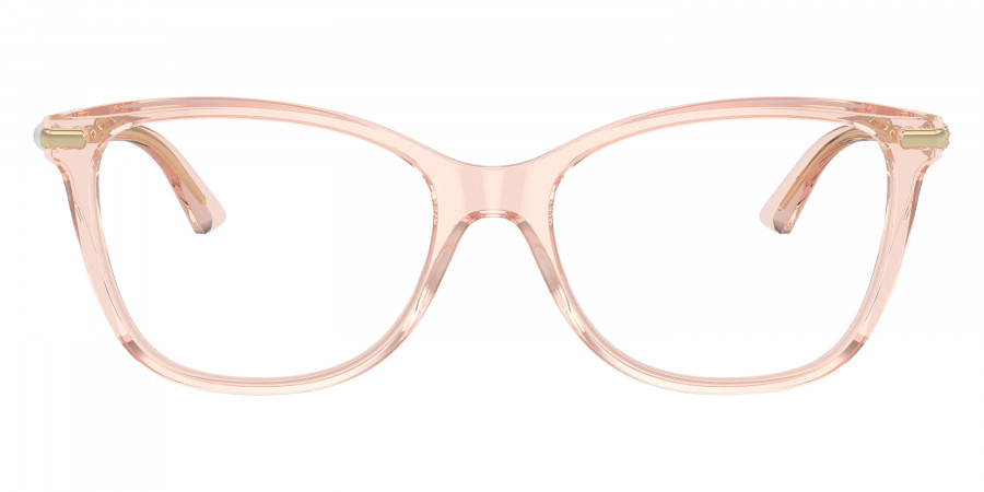 Jimmy Choo™ - JC3007HB