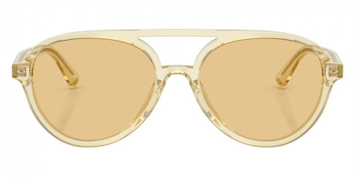Jimmy Choo™ JC5055U 5083/8 55 - Transparent Yellow