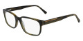 Olive Tortoise