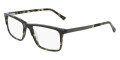 Olive Tortoise
